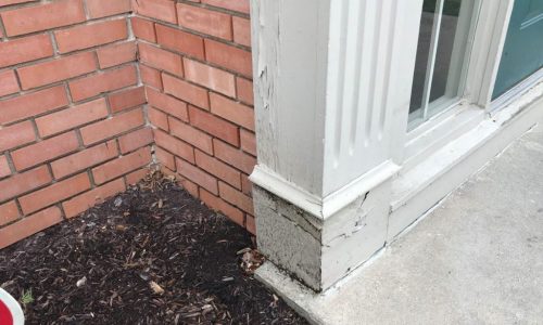 Wood Column Rot